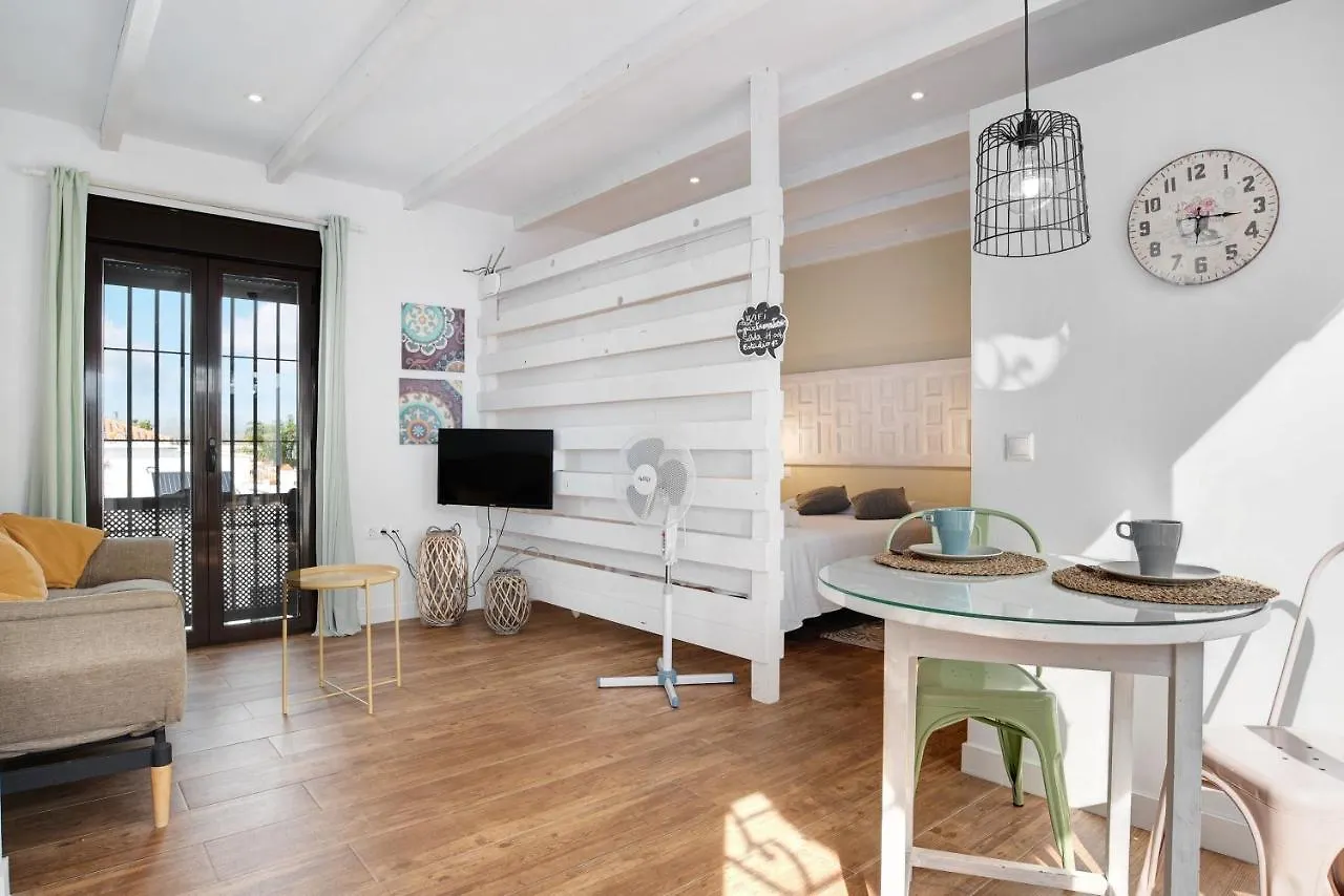 Estudio Clara 1 Conil De La Frontera España